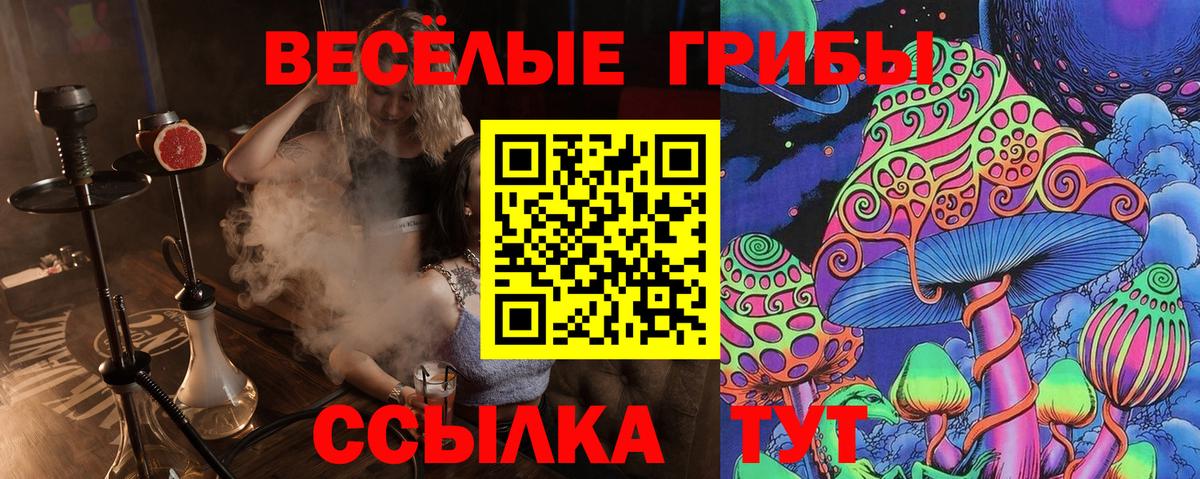 Галлюциногенные грибы прущие грибы Усолье-Сибирское