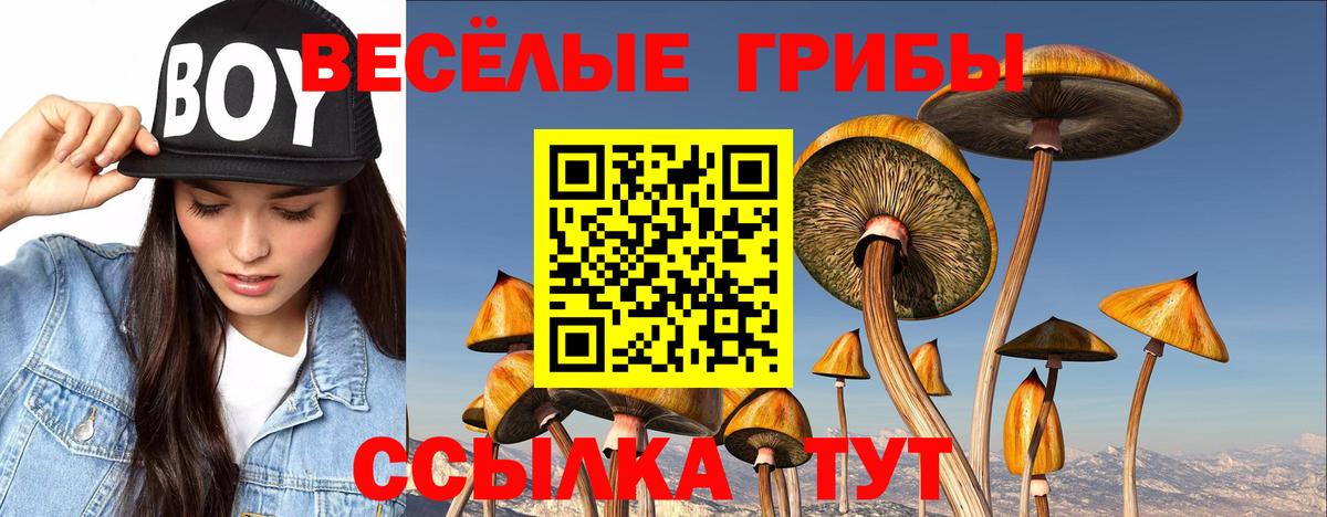 Псилоцибиновые грибы Magic Shrooms  Галлюциногенные грибы MAGIC MUSHROOMS  Усолье-Сибирское  Вход с VPN 